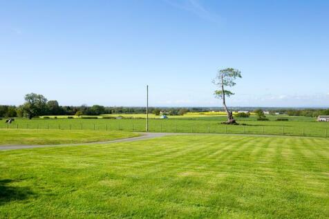 Grounds