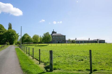 Grounds