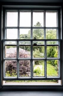 Window