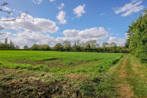 Fields Behind
