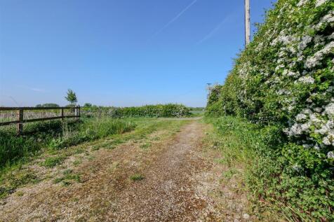 Rear Driveway