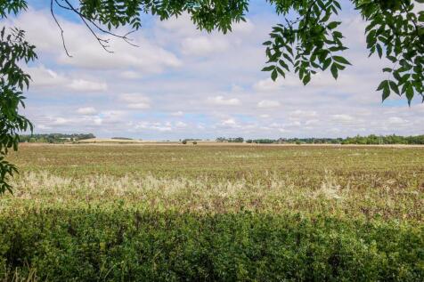 Field Views