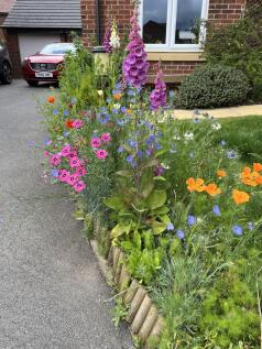 front garden 2