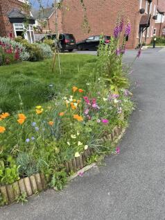 front garden 3