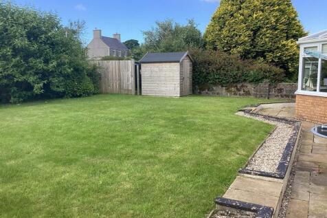 rear garden.jpg