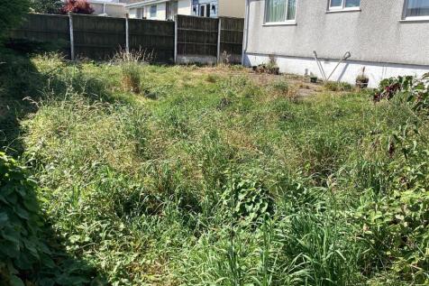 back garden.jpg