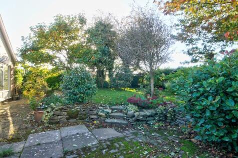 rear garden.jpg