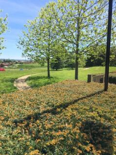 Grounds