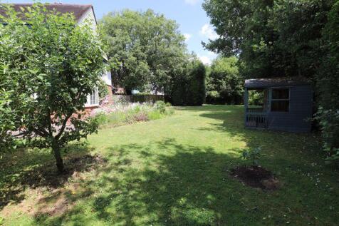 Back garden