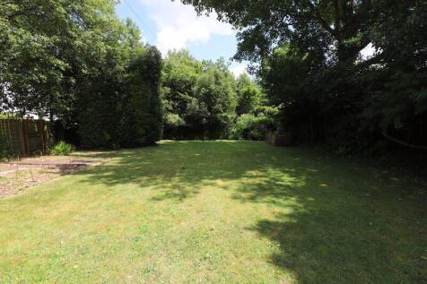 Back garden