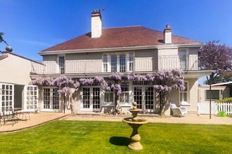 Rear with Wisteria