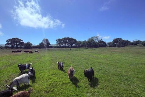 Paddock