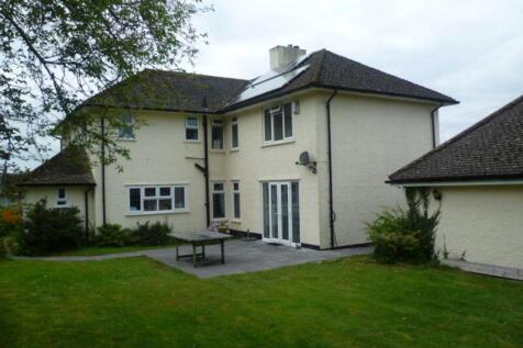 Side of house and garden