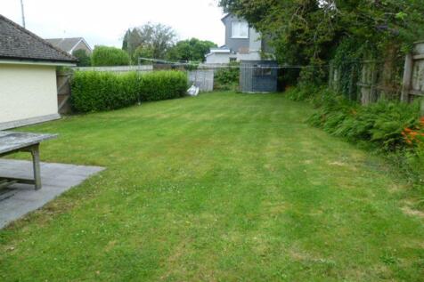 Back garden