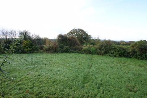 lawned garden