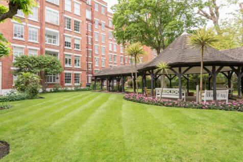 garden 3.jpg