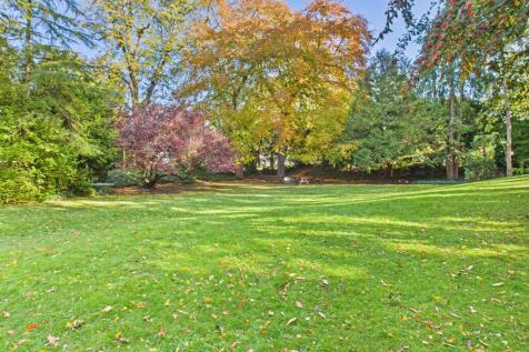 CAM02545G0-PR0517-STILL023