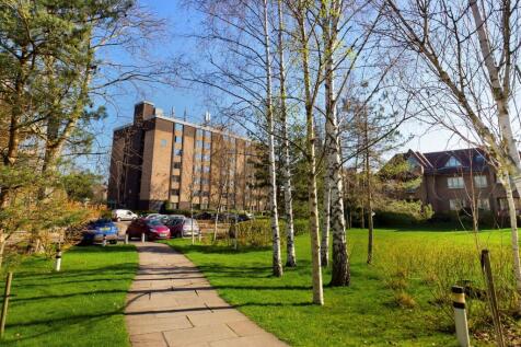 CAM00227P1-PR0498-STILL08 (Custom)