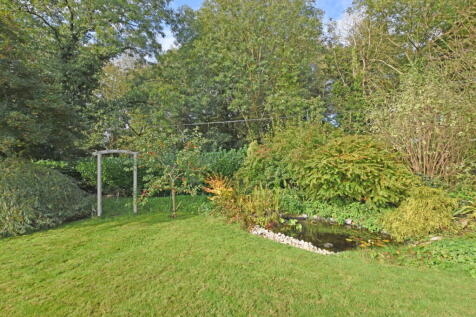 DSC_0038.jpg