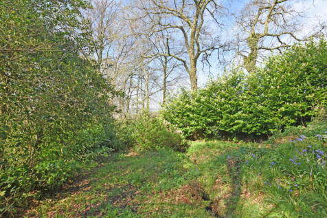 DSC_0149.jpg
