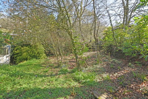 DSC_0150.jpg