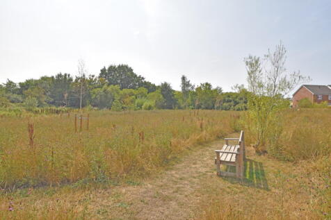DSC_0205.jpg