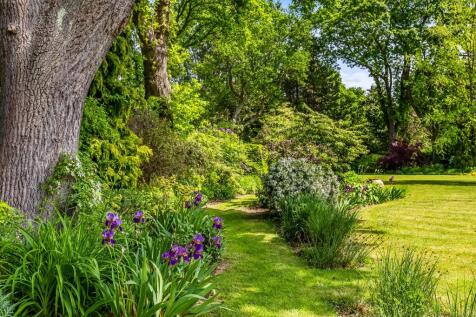 Property Image 36