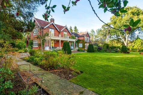 Property Image 44