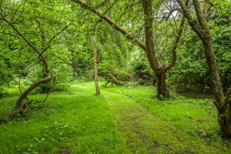 Property Image 29
