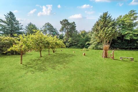 Property Image 22