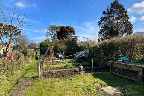 veg garden.jpg