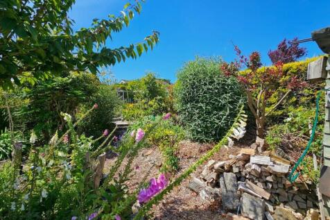 rear garden1.jpg
