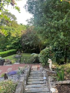 pretty garden 2