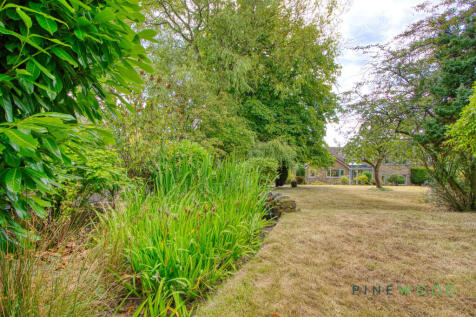 Rear Garden (Exterior)
