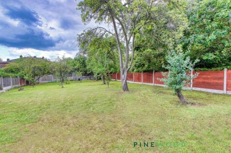 rear garden  - orchard