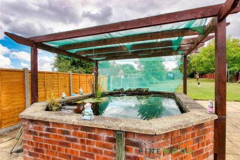 rear garden  -pond