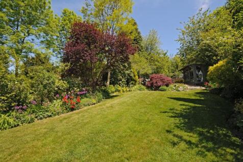 garden.jpg