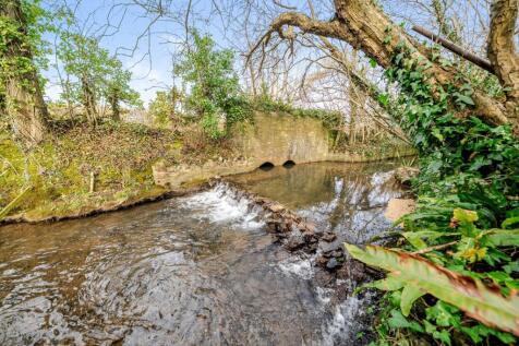 Burcott Mill leat and River Axe 