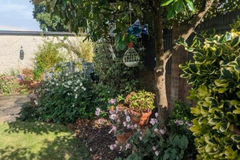 Property Image 39