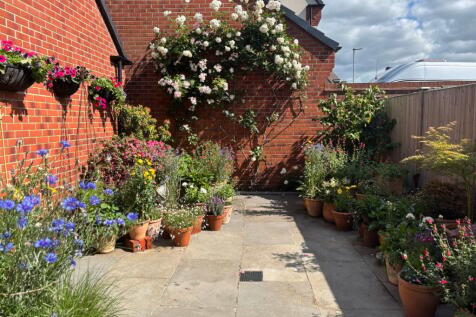 Property Image 31