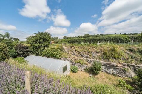 Property Image 39