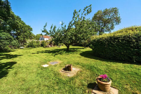 Property Image 41
