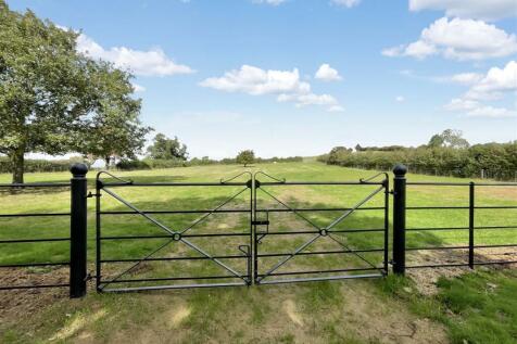 Field views