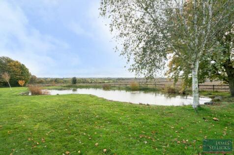 Pond