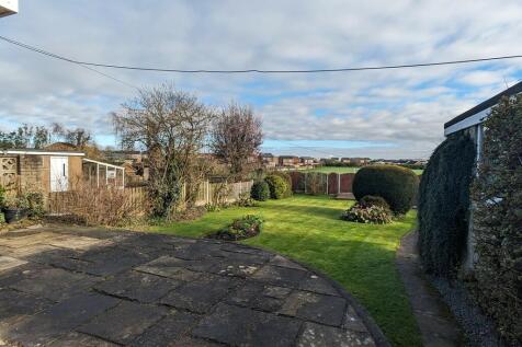 garden 1