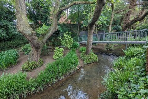 garden 11