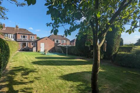 garden 4