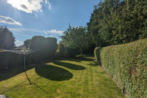 garden 1