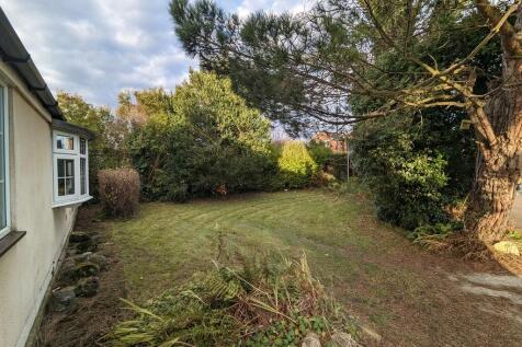 garden 6