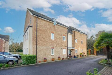 Property Image 13
